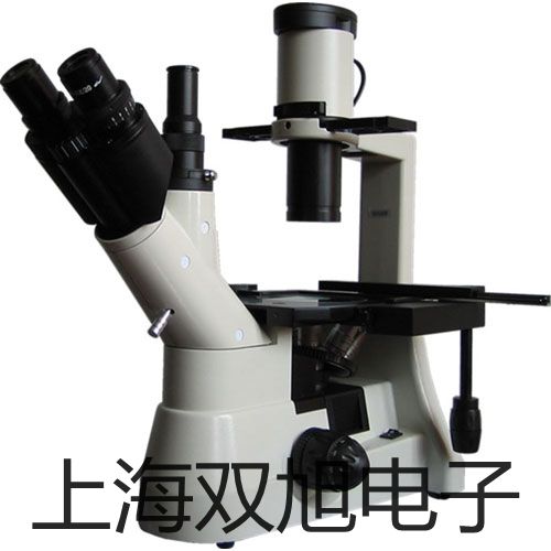 ���p���ơ����ż�������ż����(sh��)