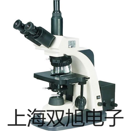 ���p���ơ�IMPULSE200����(gu��)LTI����y(c��)��/�y(c��)�߃x��IMPULSE200�N��