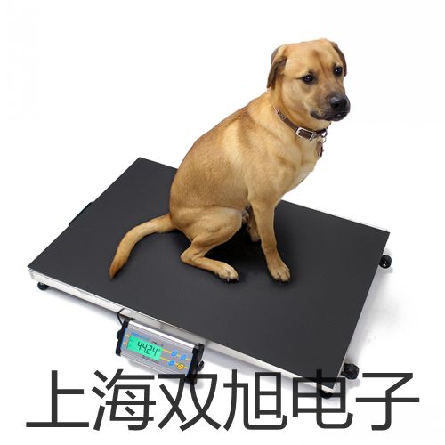 ���p���ơ�QBY-C���(d��ng)���É���׃��������׃��������(sh��)