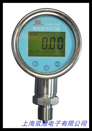 精密壓力表