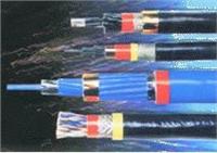 PVV22������ϩ�^�����o����̖��|/�r��/���a(ch��n)�S��/PVV22