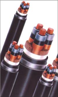 ZR-YJLV �Xо��ȼ��(li��n)����ϩ�^��������ϩ�o(h��)�������|/�r��/���a(ch��n)�S��/ZR-YJLV